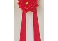 記章リボン　
